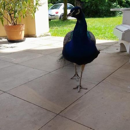 Bobitz Schloss Tressow מראה חיצוני תמונה