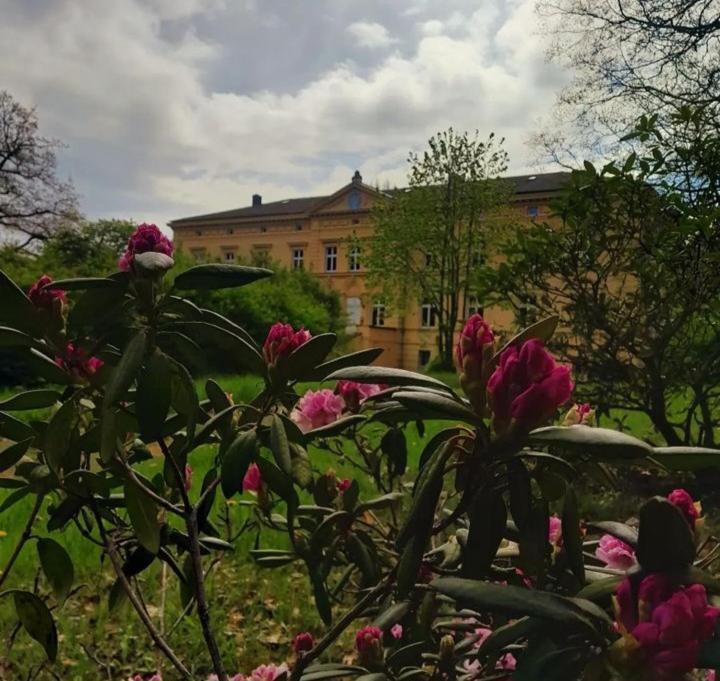 Bobitz Schloss Tressow מראה חיצוני תמונה